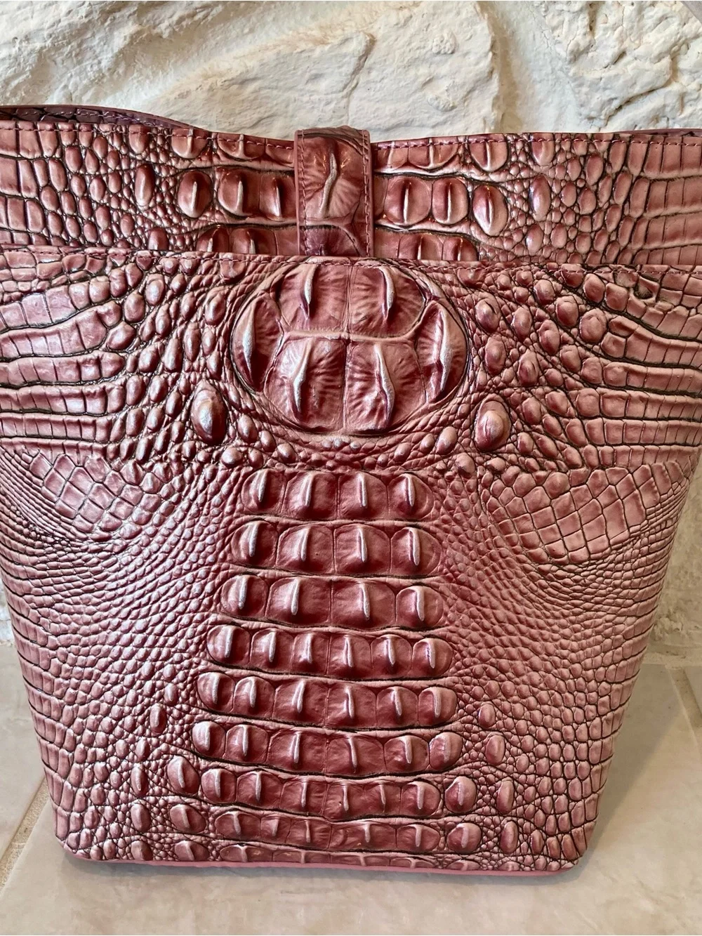 Brahmin nwt dustbag